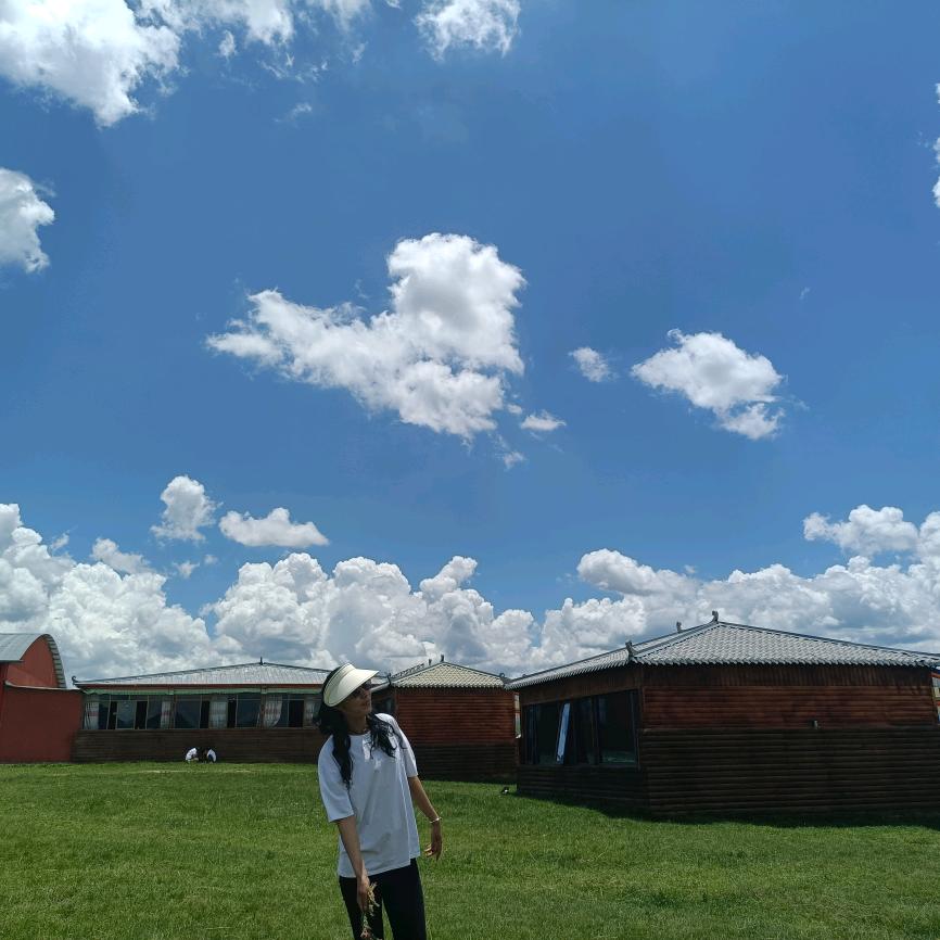 倾残阳如血墨染:》城