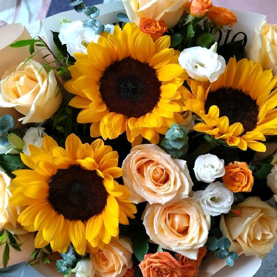 夏涵(♡>𖥦<)/♥