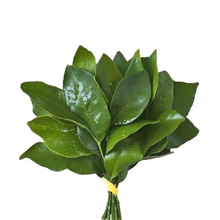 沈点心吧
