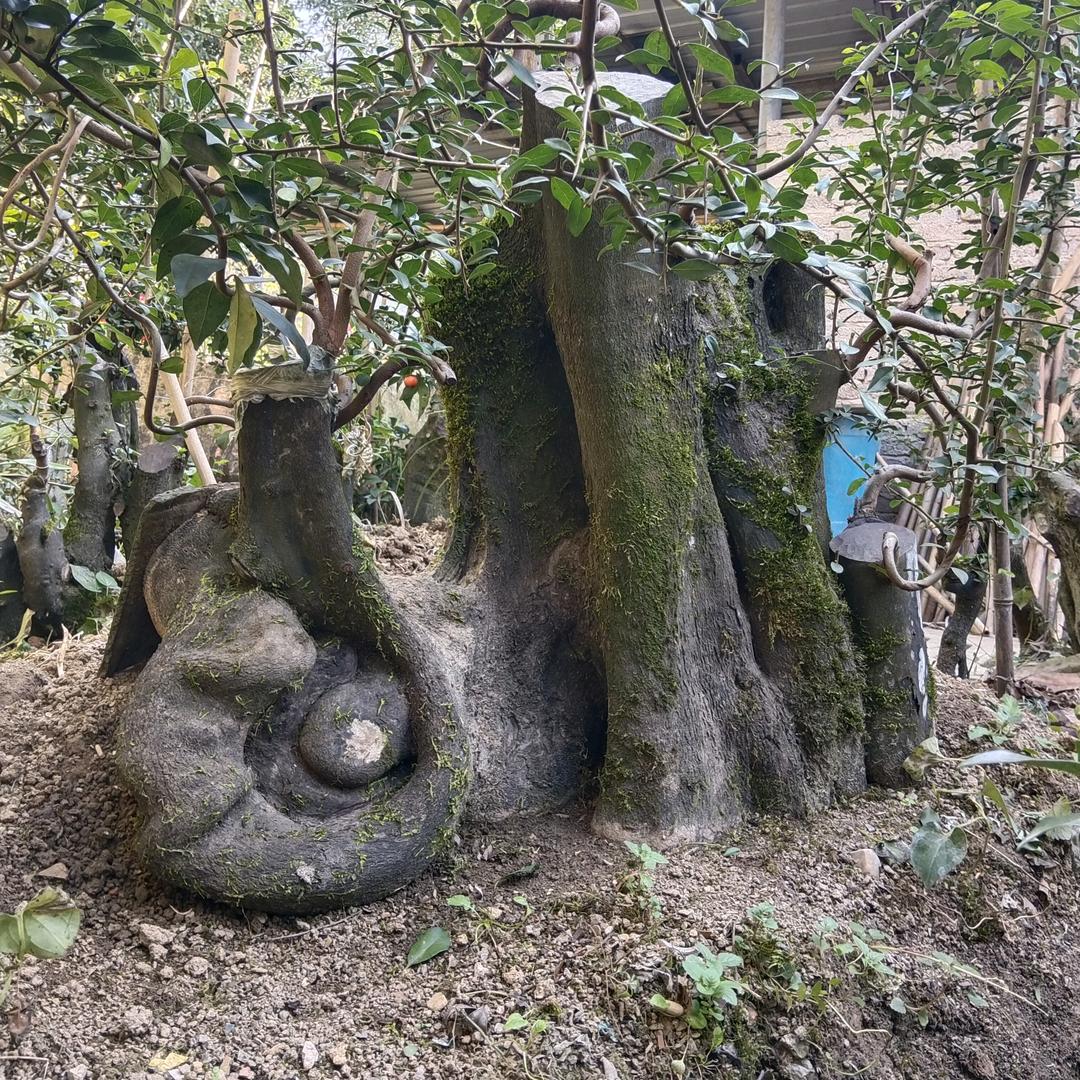 @艺术