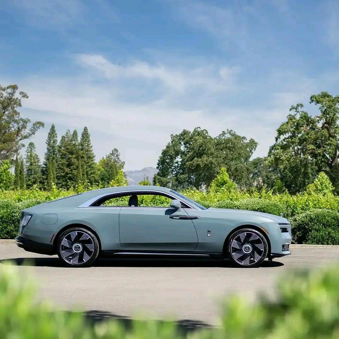 水退牛肚，牛蹄筋，批发！