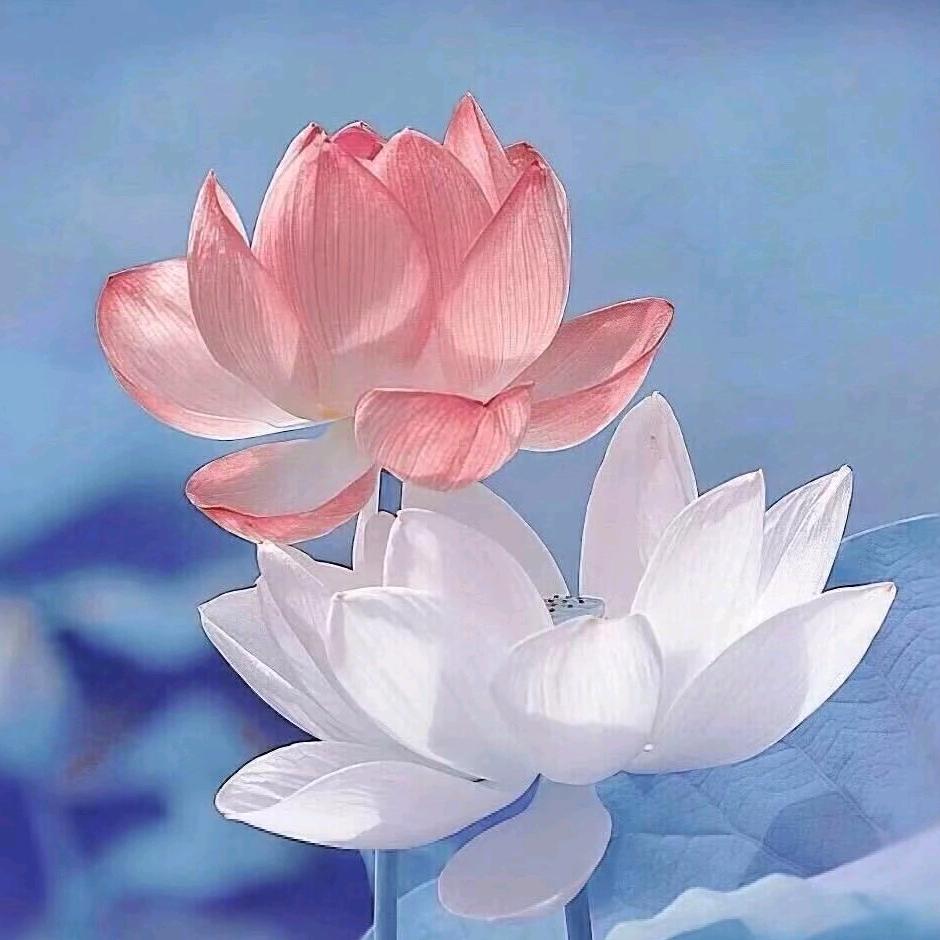 春天