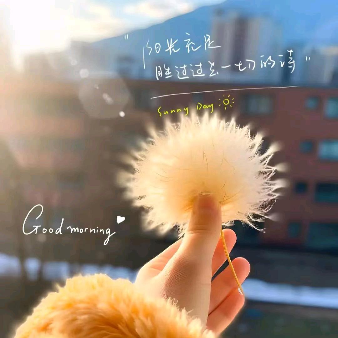 庄浪十月馨孔燕京