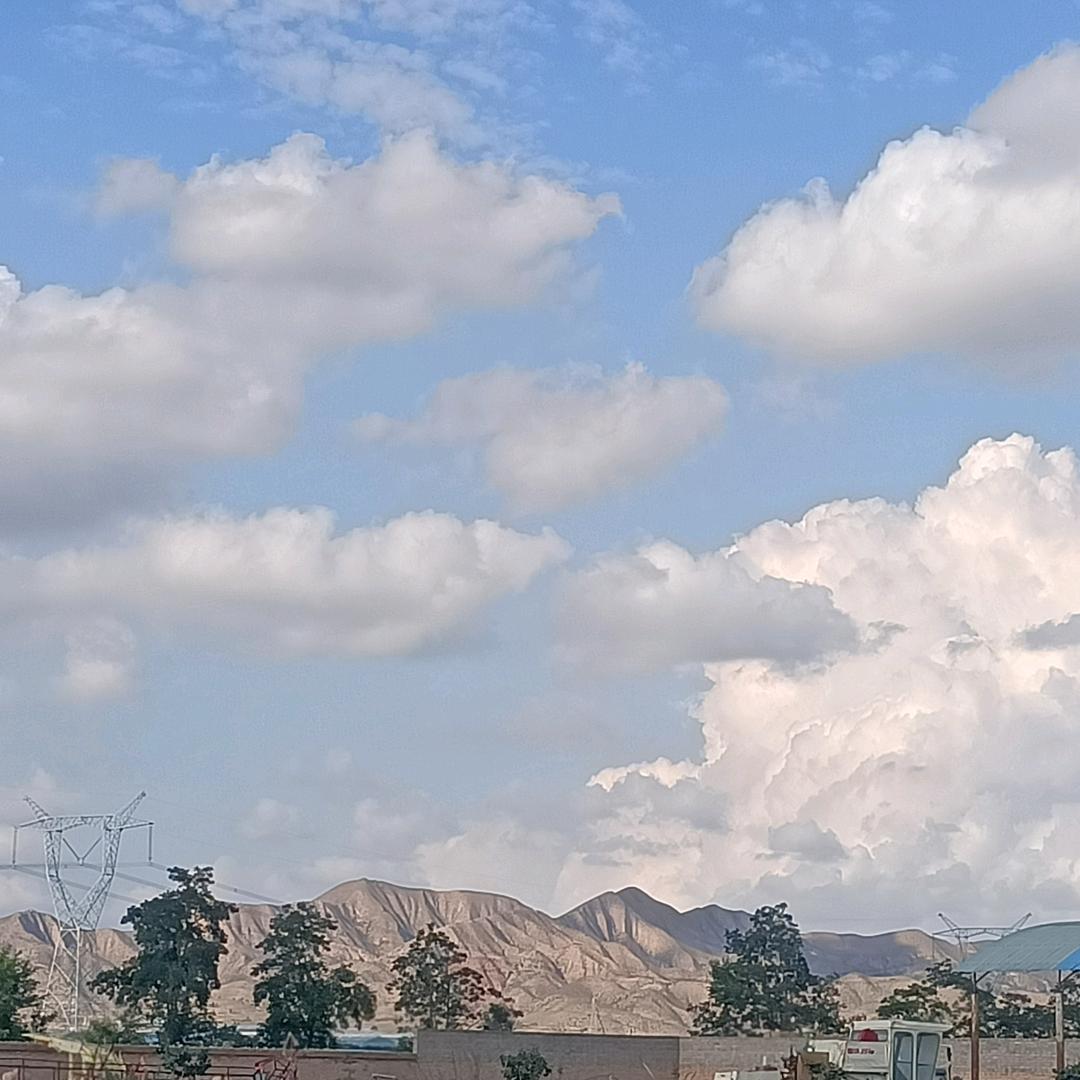 (ง •̀_•́)zhoul