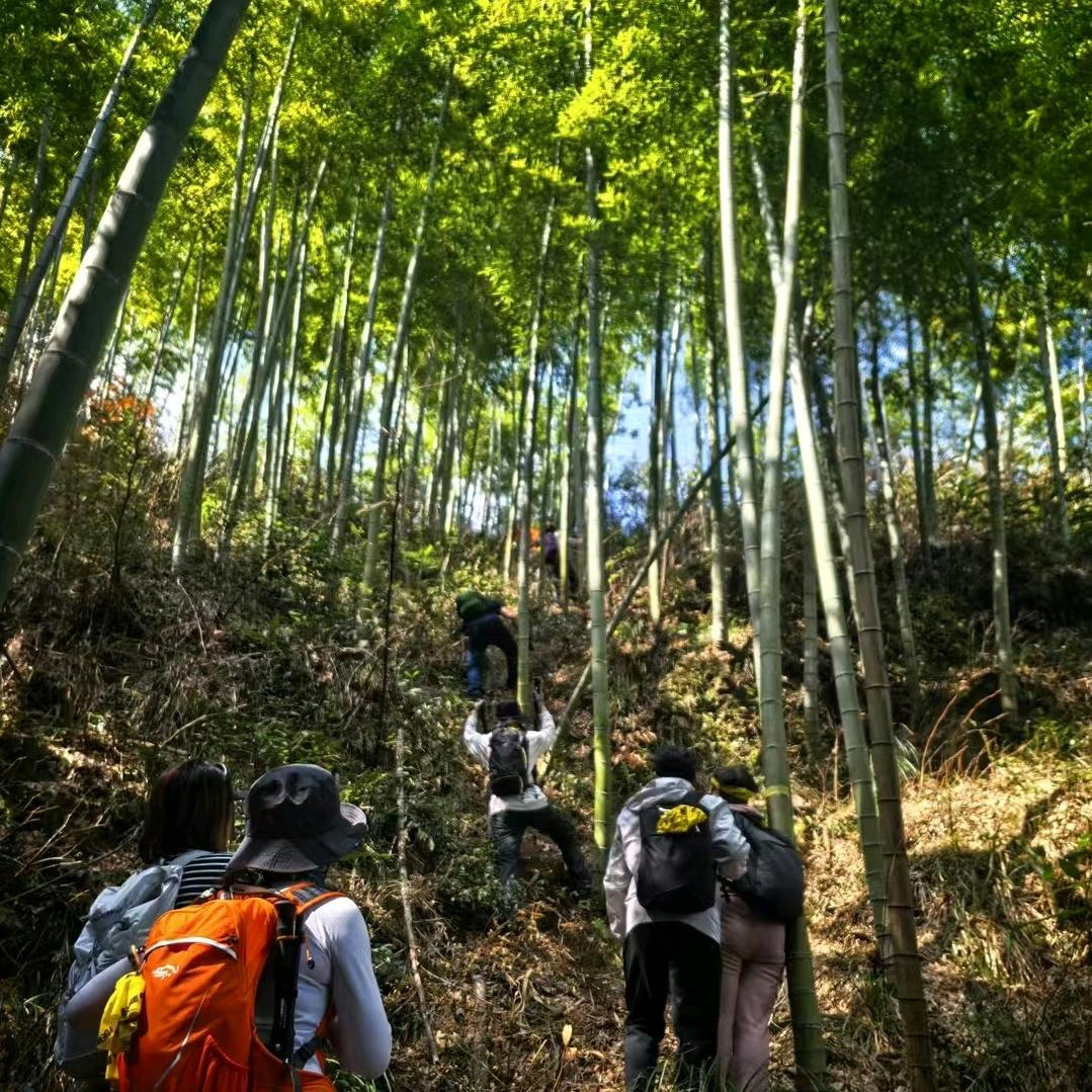执念（康复恢复中）