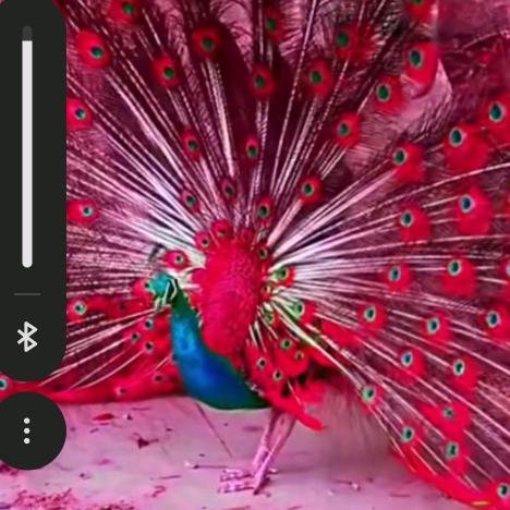 王宁顺。从小爱文艺