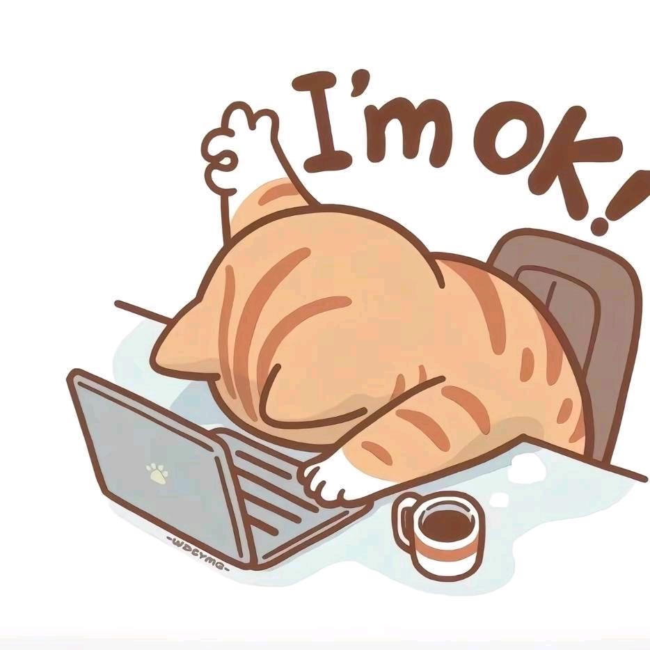 东汇达教育小七喜