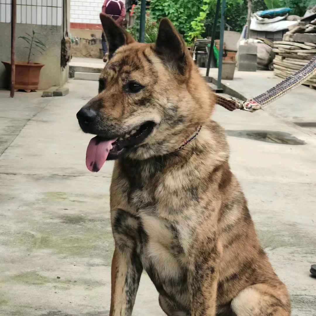 用户329720632903陆良畅赢物流