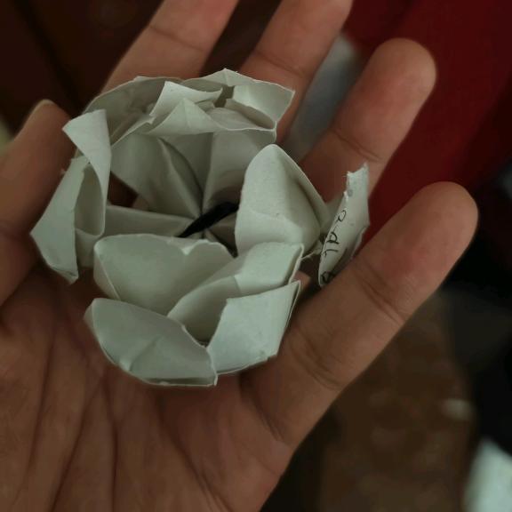 缘与她不共线