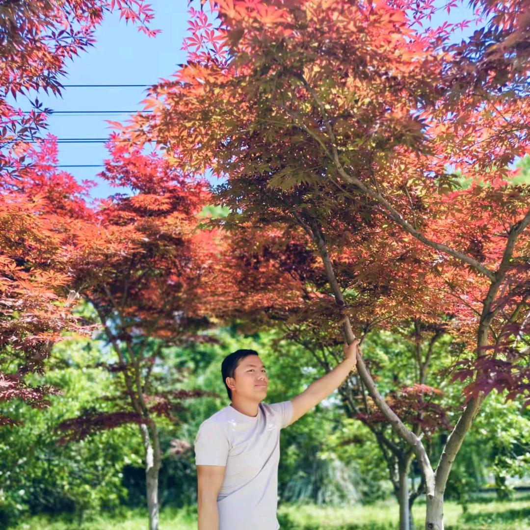 @业余歌手小杨哥