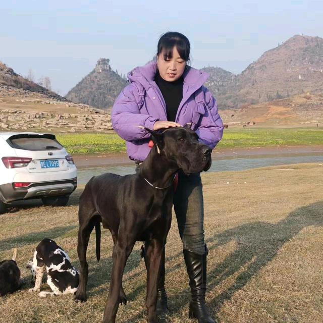 忘忧草☀️☀️（拒绝私聊）