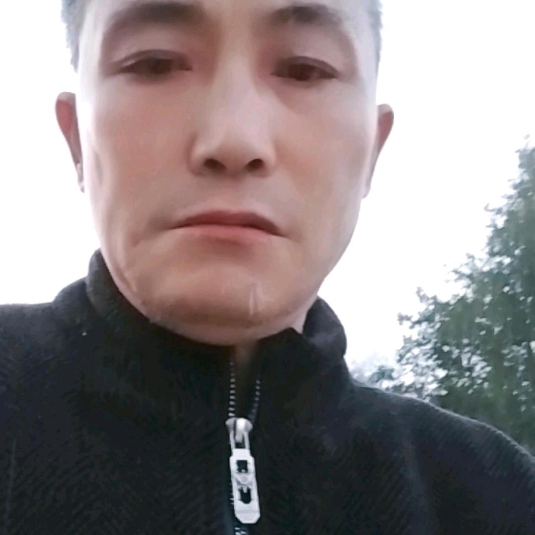 一帆风顺杨