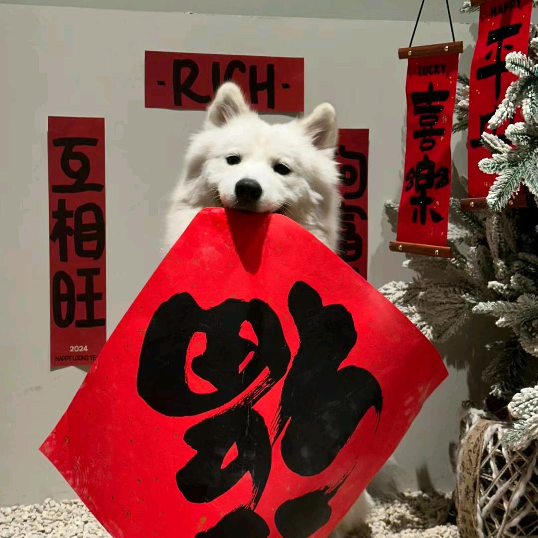 发大财走大运