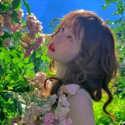 小娄同学