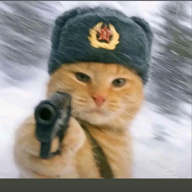 生产队的驴