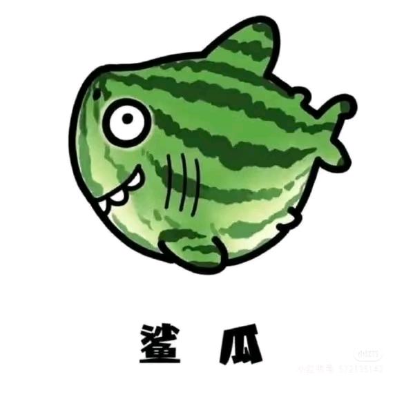 鲨瓜🍉