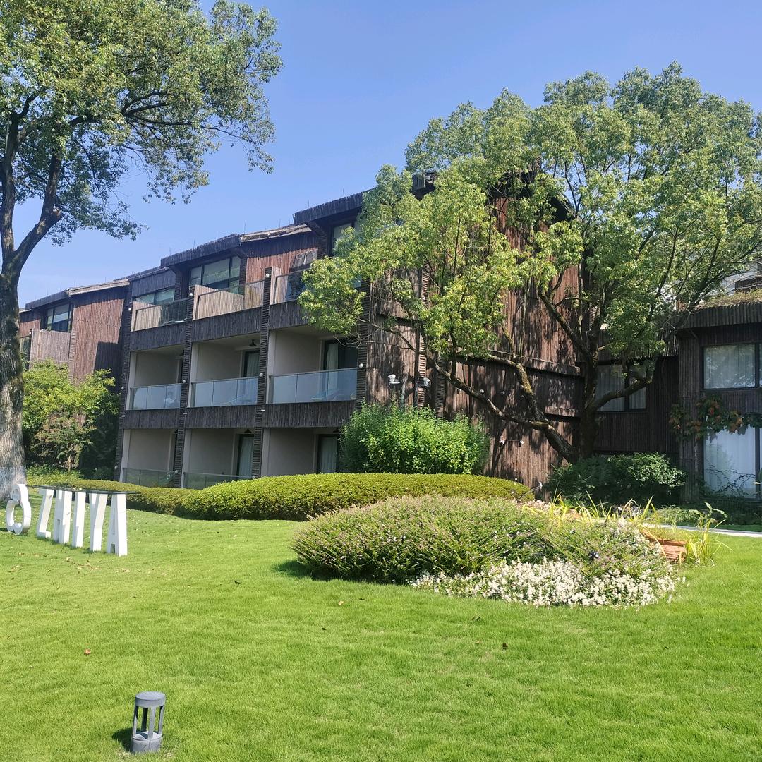 用户7561209034928兰