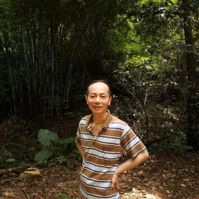 药材坤（悲喜交杂）