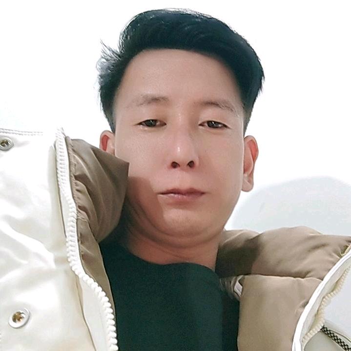 虚情贾意
