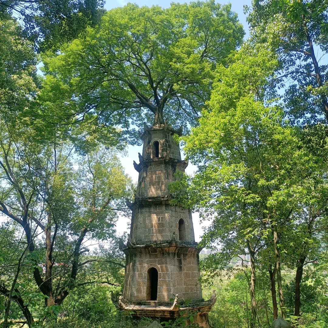 郭靖