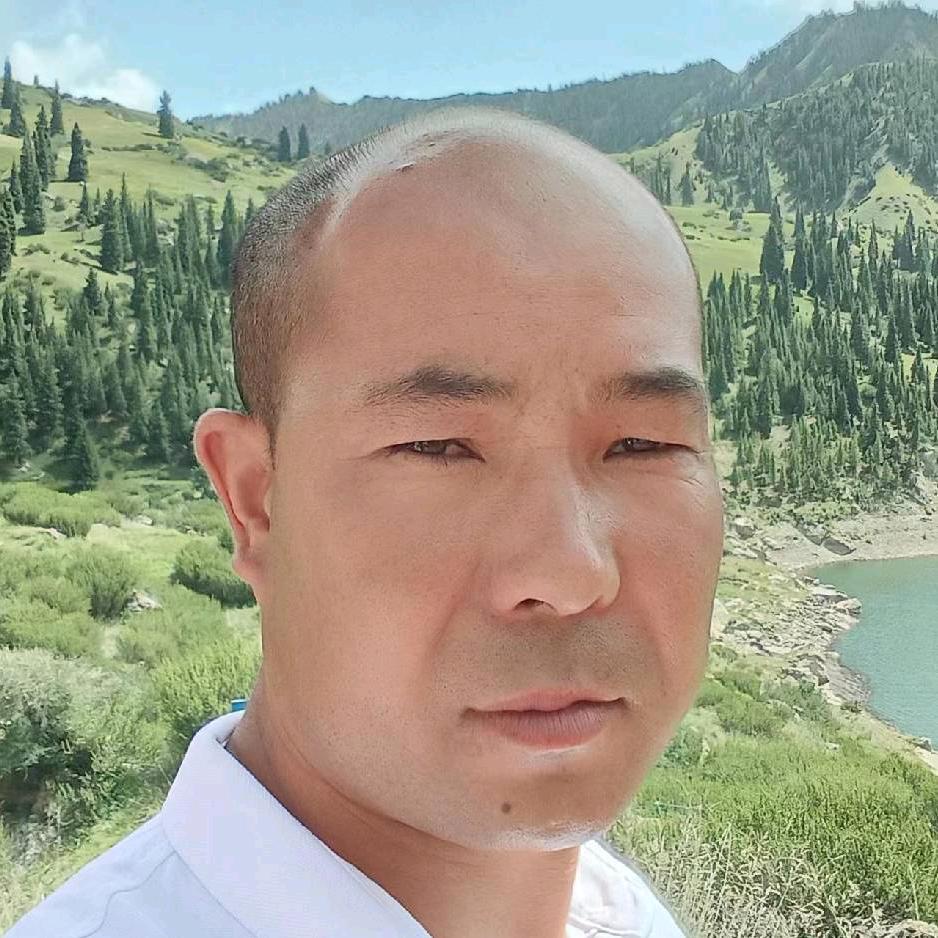 沙雅县84519350806