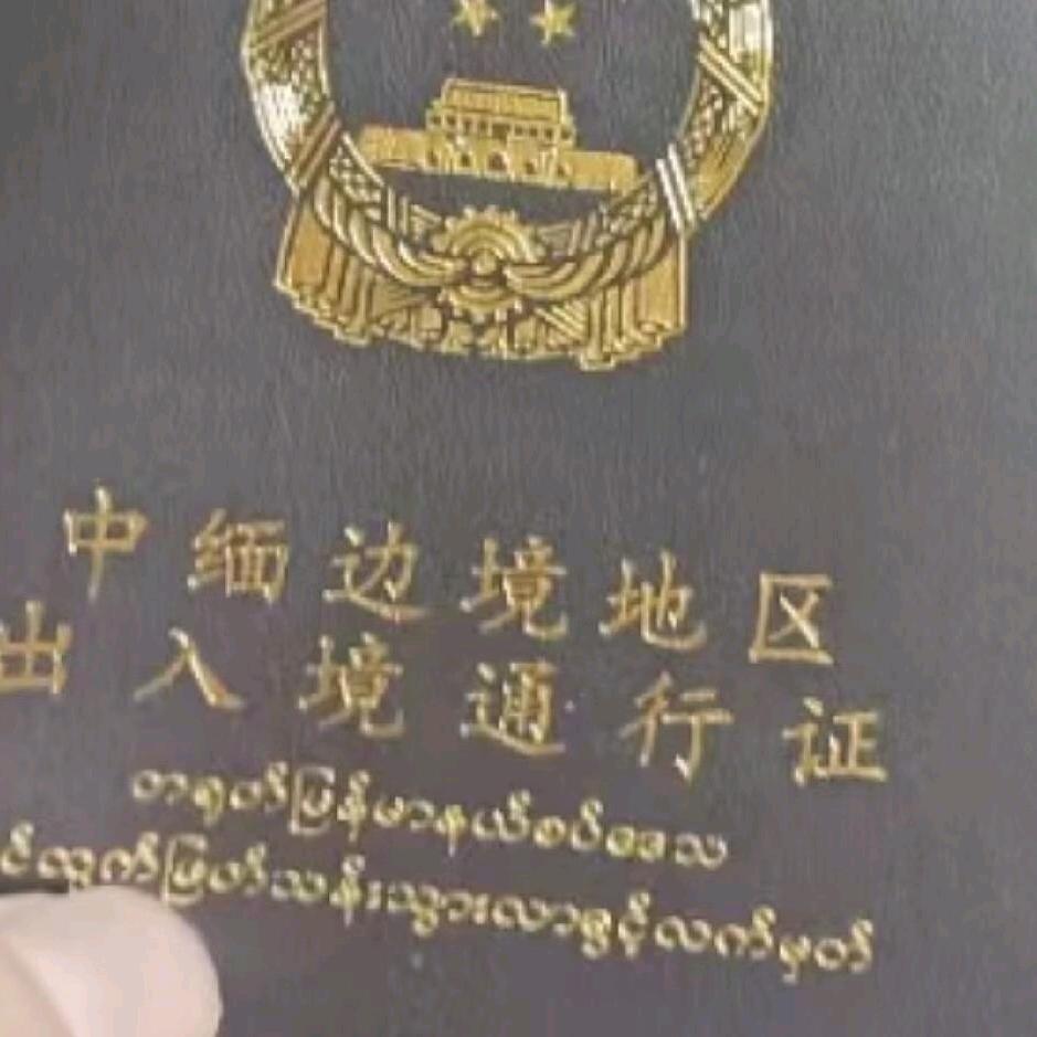 跑在房顶看星星