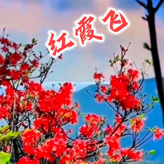 红霞飞