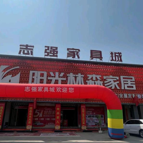 志强家具   全屋整装