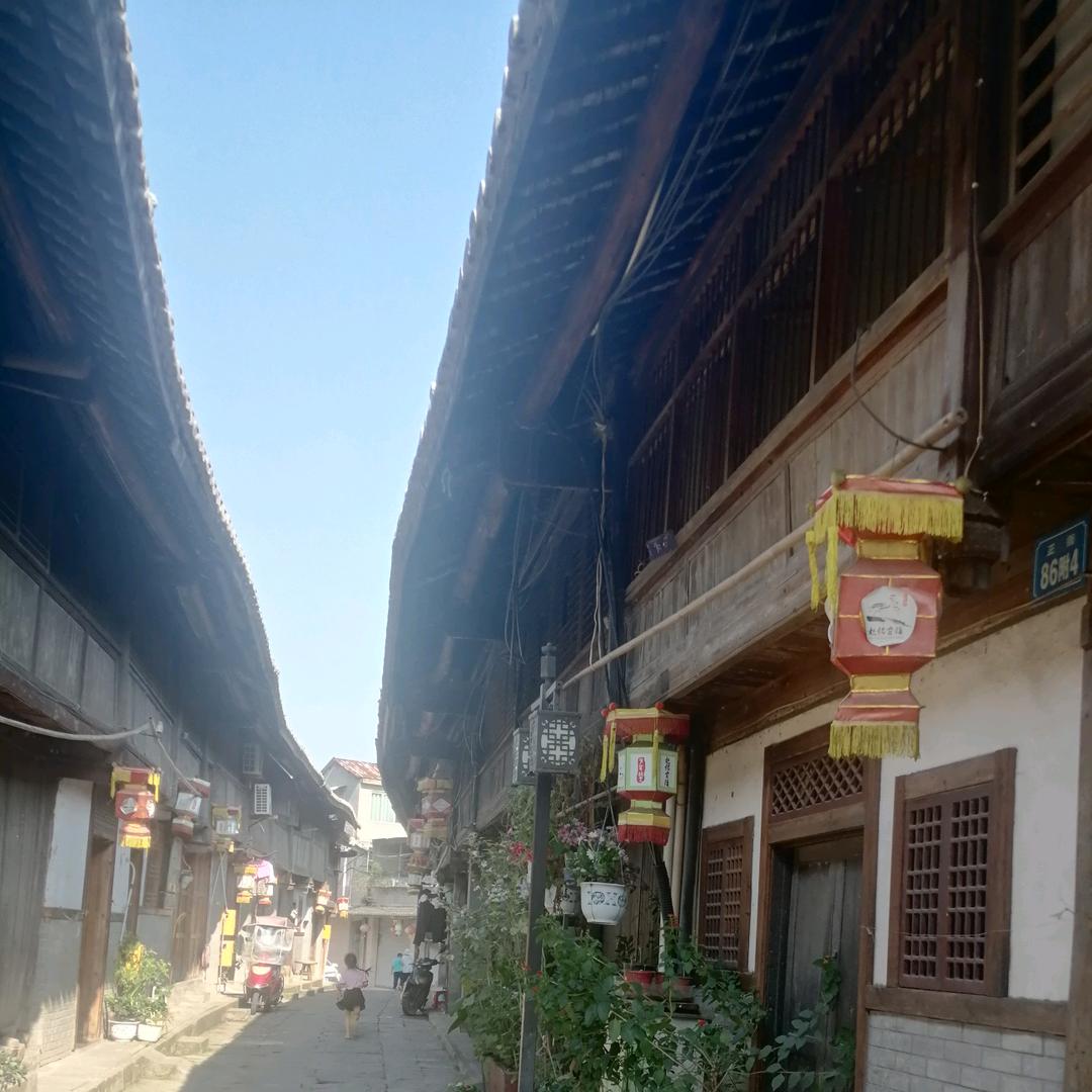 稚昂zhang