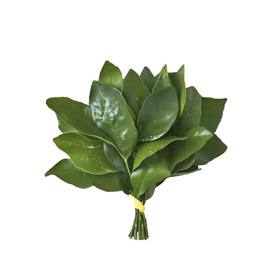 不知名网友