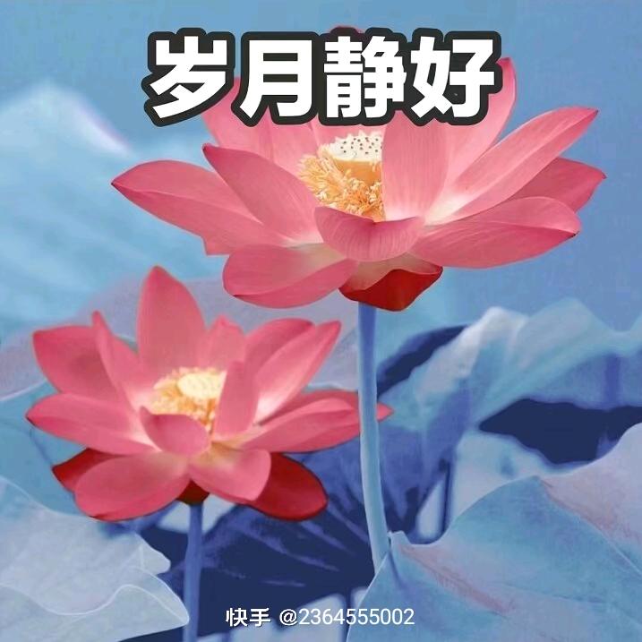 众得/利婚庆🌹🌹🌹🌺🌺
