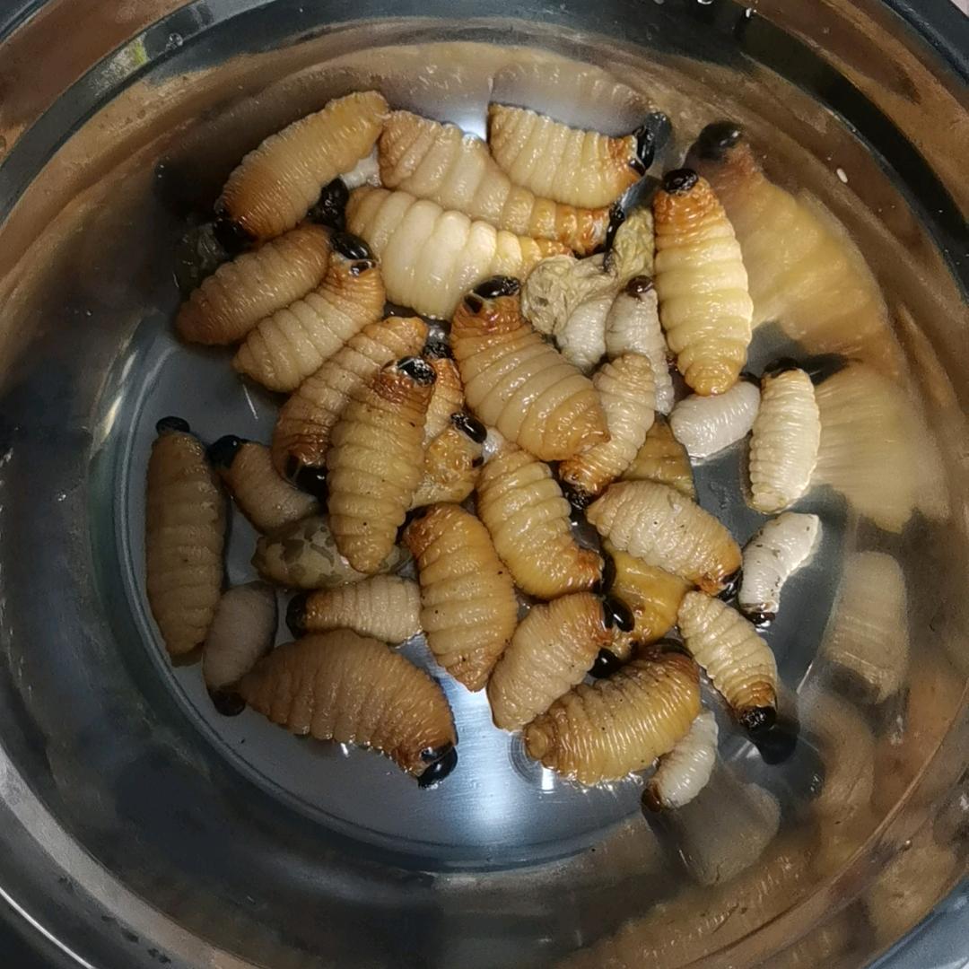 浪子回头。