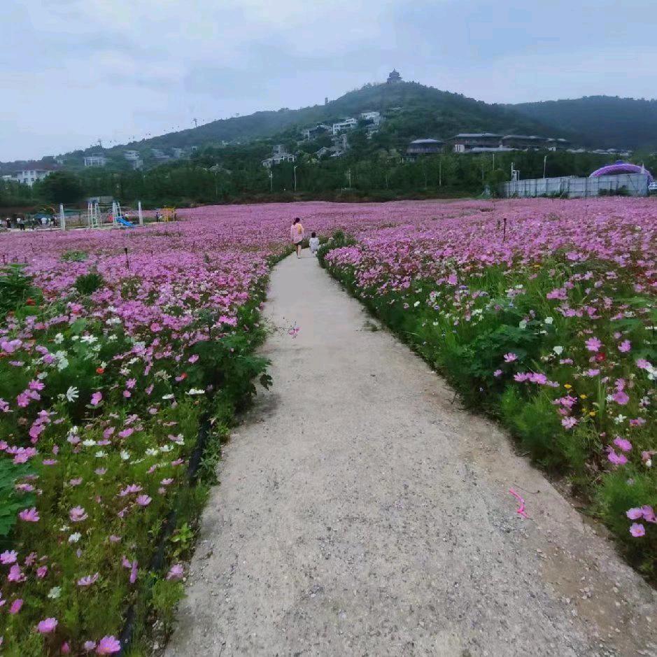 起凡起于凡