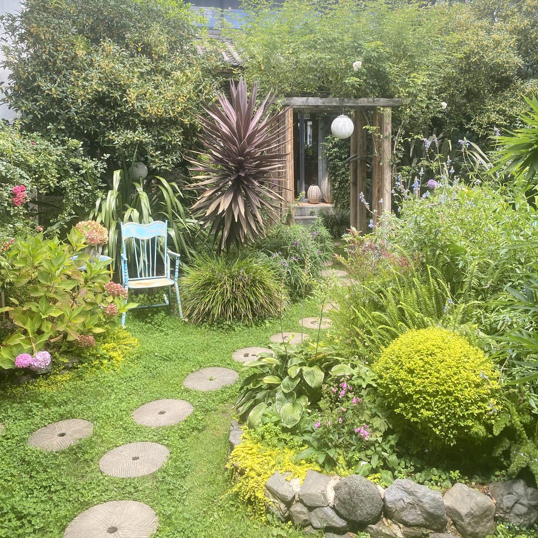 小飞（100斤的执着）