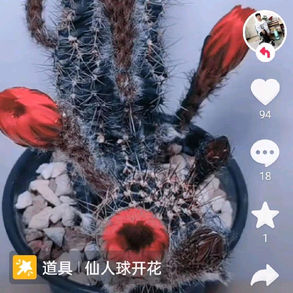我不是一个省油的灯😭