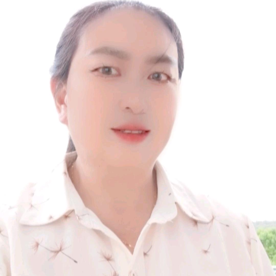 王登美