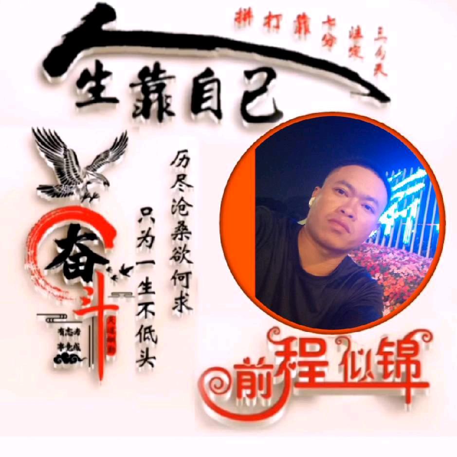 《自由飞翔》