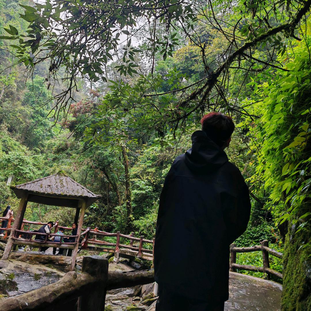 不想失眠