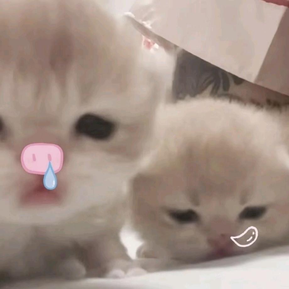我老婆很好看