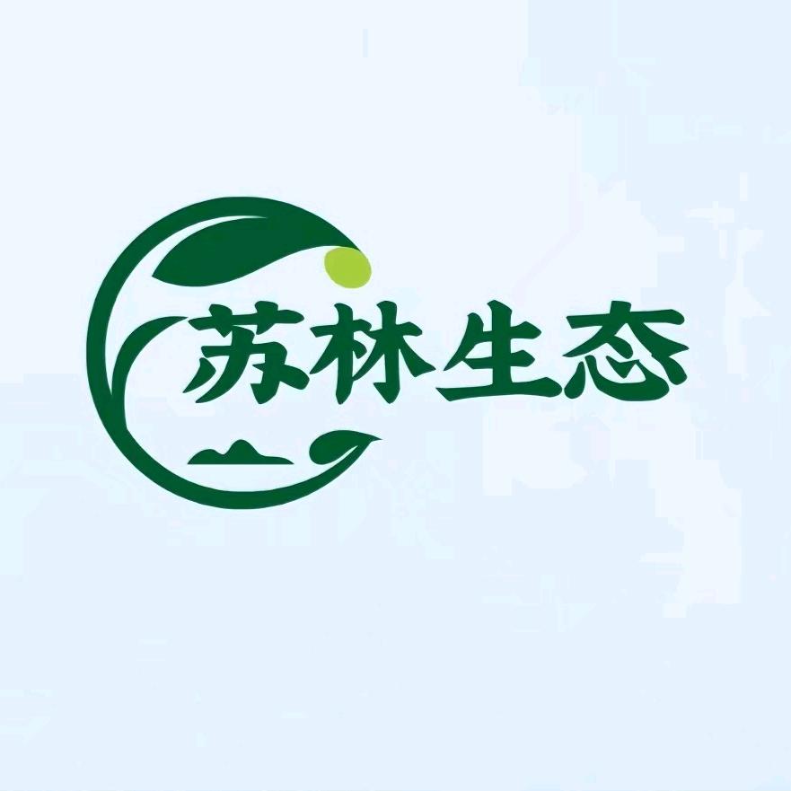 我叫涛涛