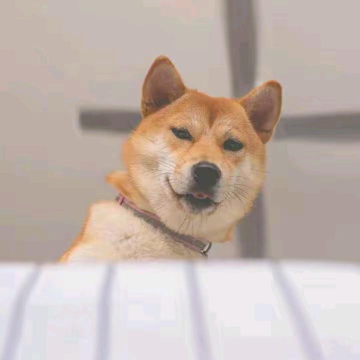 错心经