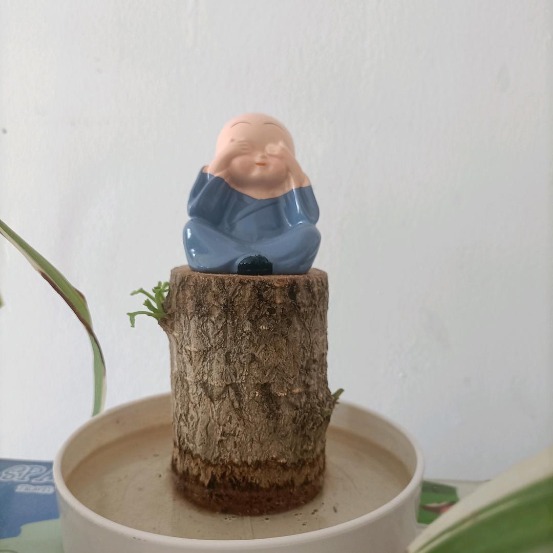 一生平安