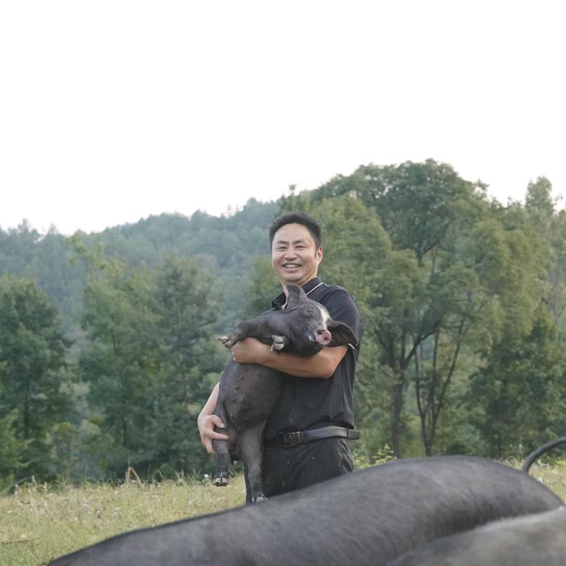 角口村黔北黑猪