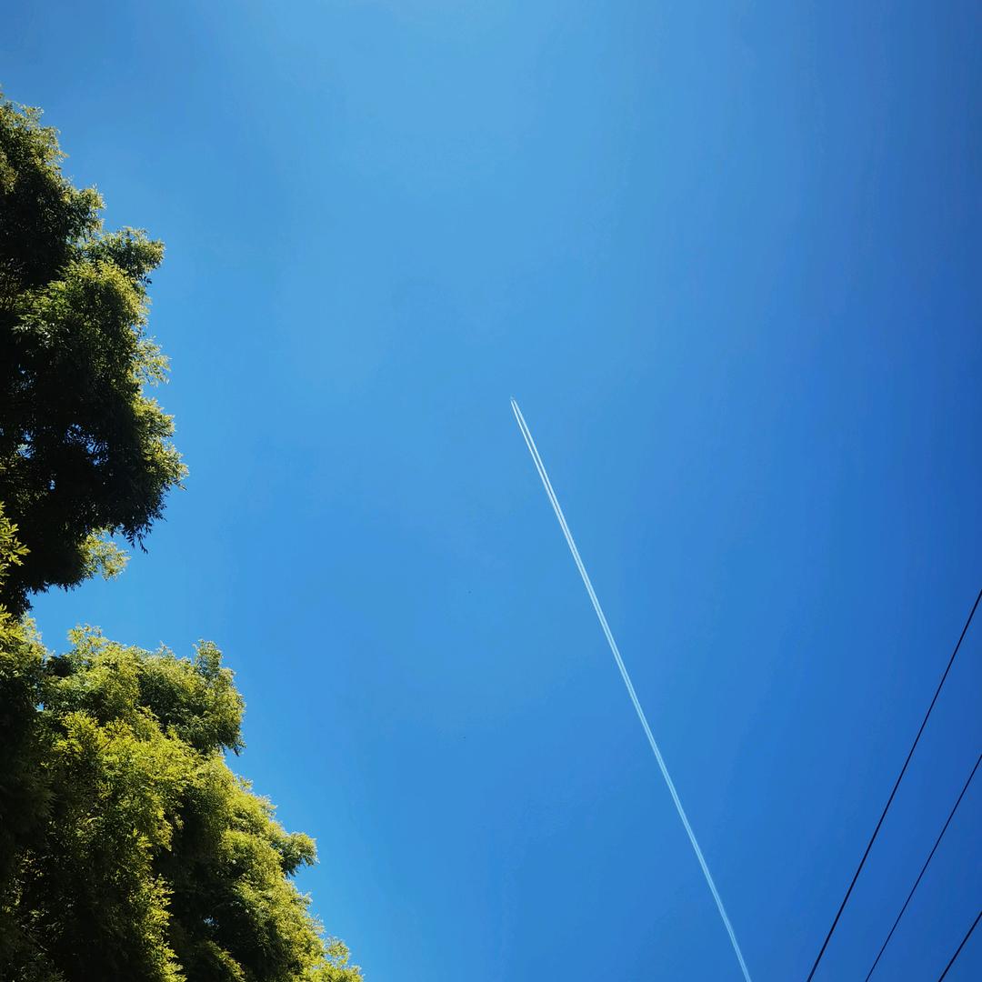 振东江水