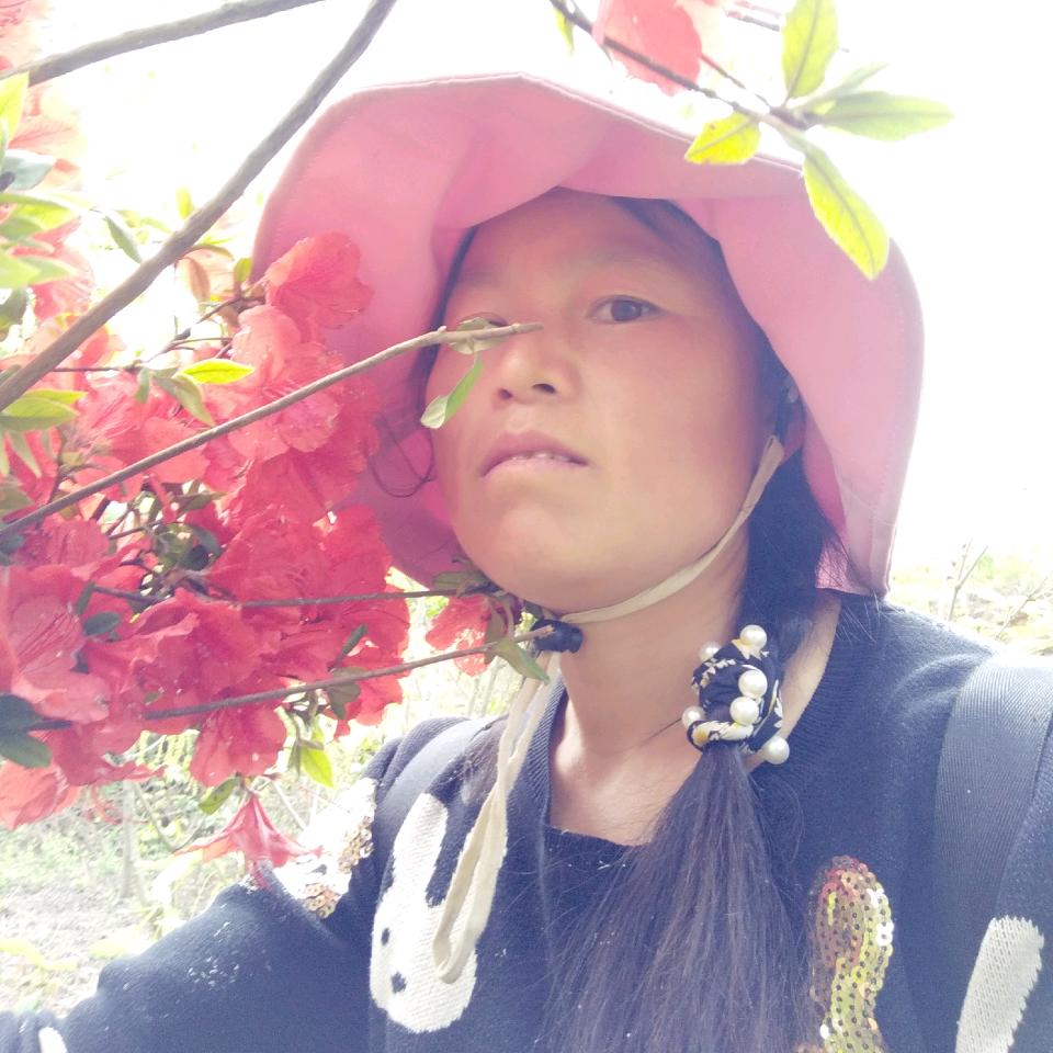琴二姐