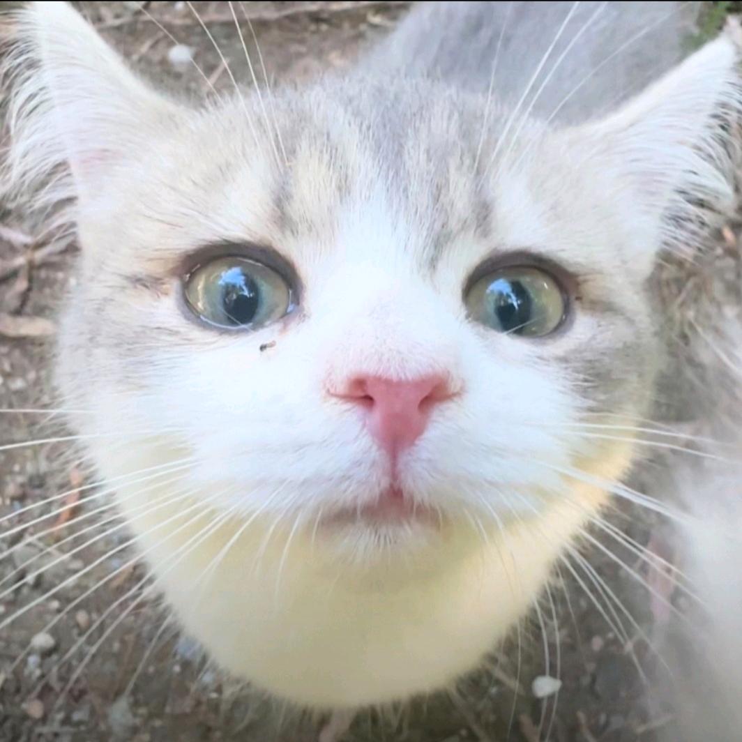 ………²⁵⁹⁹