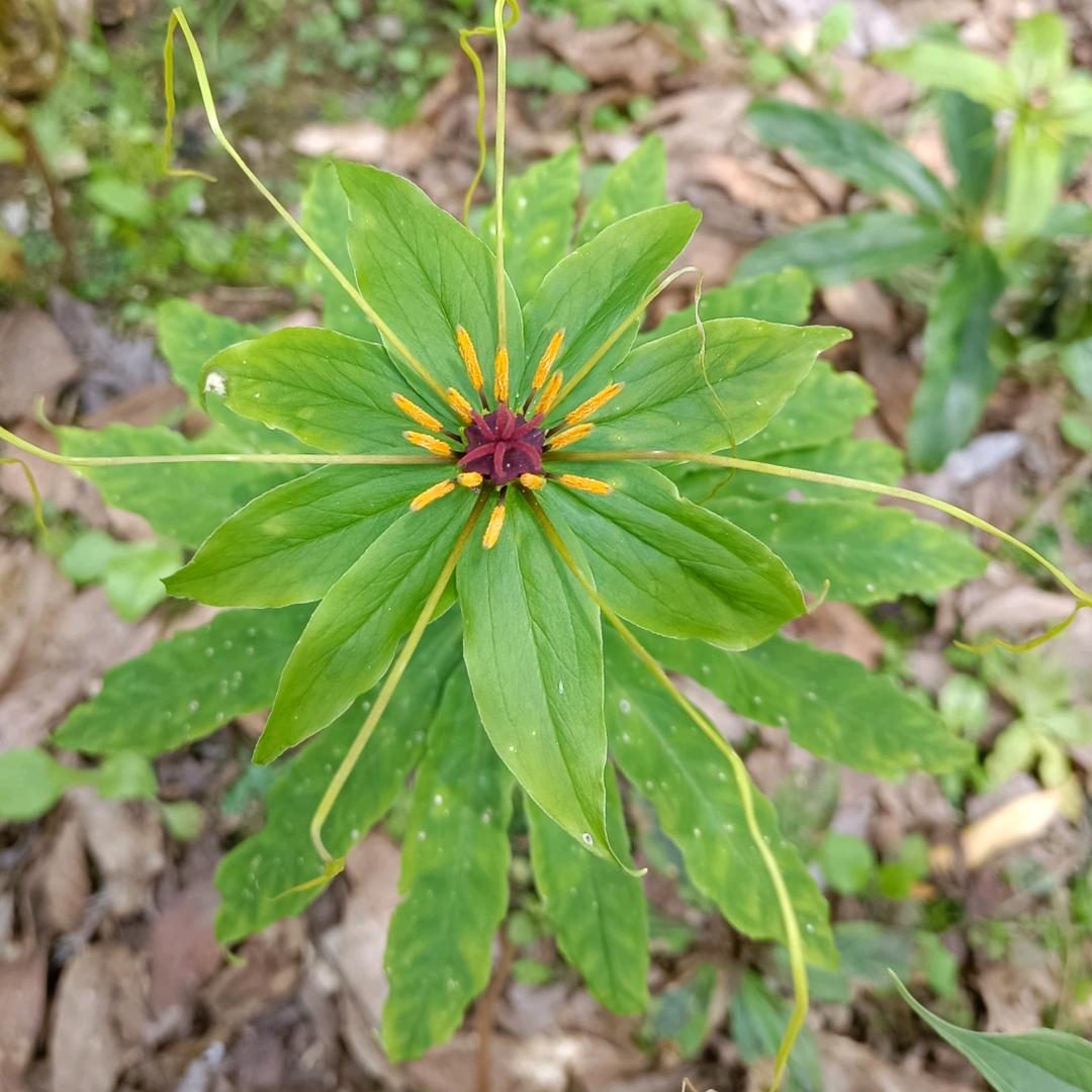 一切随缘