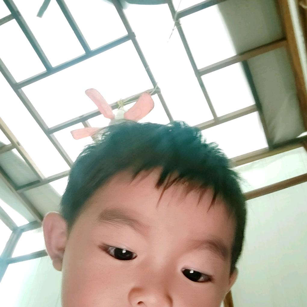 小蒙