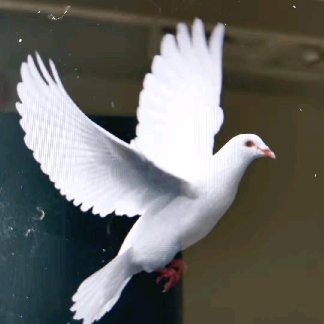 浙江（老荣）12