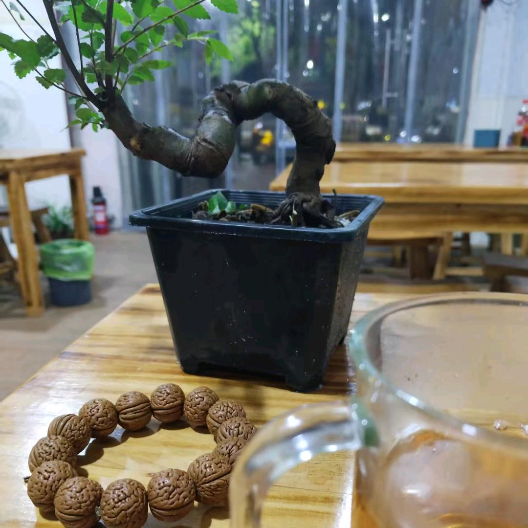 飞妈